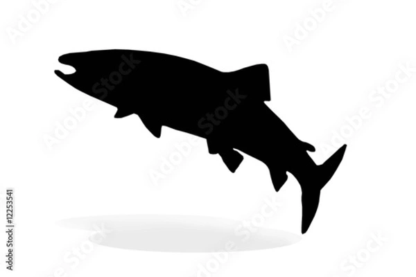 Obraz sillhouette of salmon fish isolate