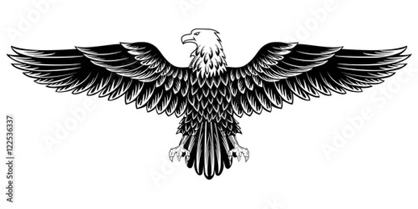 Obraz orzeł