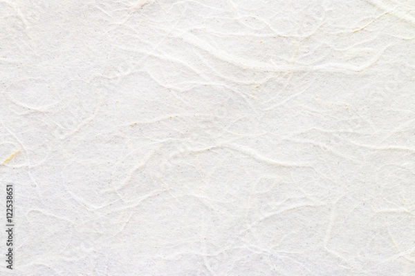 Obraz White mulberry paper texture.