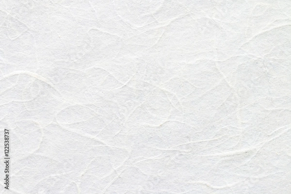 Obraz White mulberry paper texture.