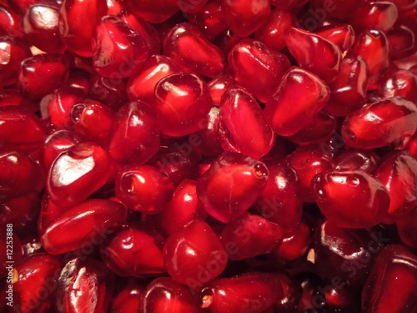 Obraz Pomegranad