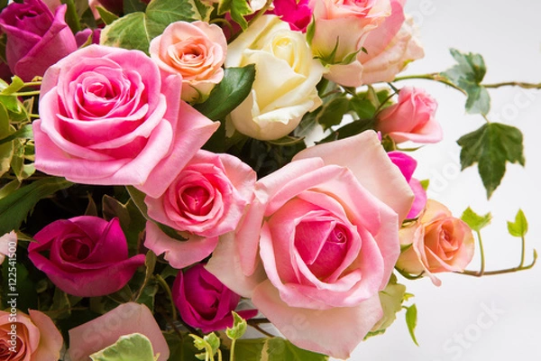 Obraz バラの花アップ