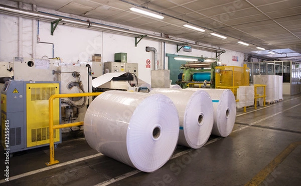 Fototapeta Paper and pulp mill - Factory (Finishing Line)