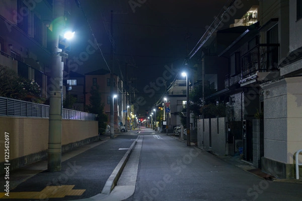 Obraz ライトアップされた夜道