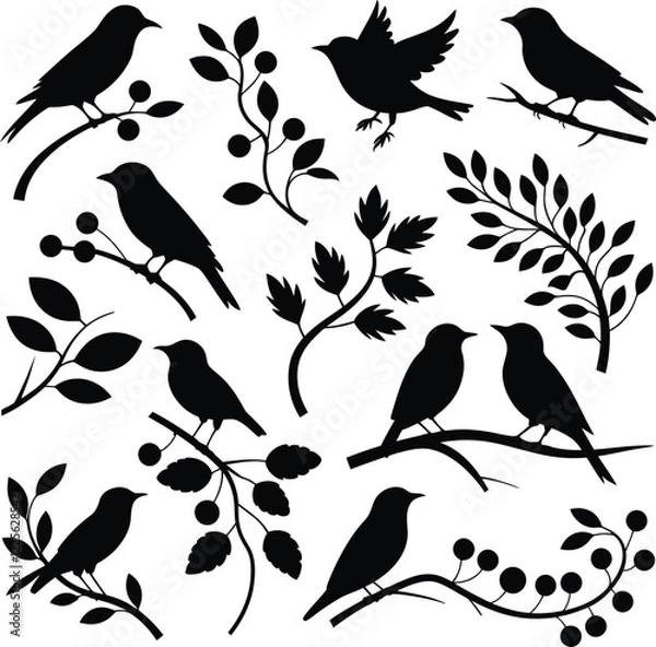 Fototapeta Collection of Bird Silhouettes in Various Poses with Branches and Leaves...