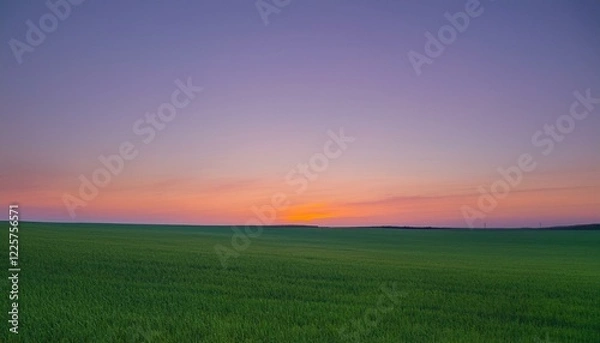 Fototapeta 보랏빛 저녁 하늘과 초록 들판