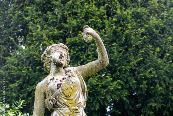 Fototapeta A statue of a woman with a cup in her hand. The statue is old and has a mossy appearance. The surrounding area is lush and green, with trees and bushes