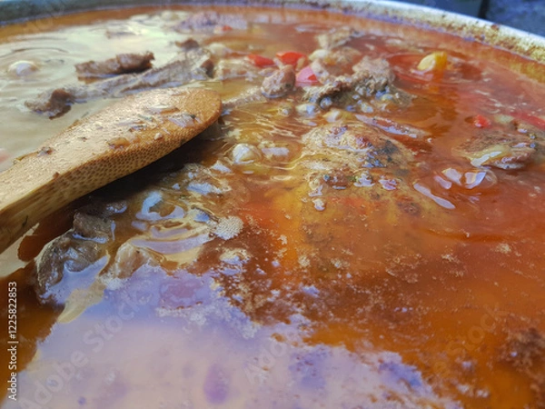 Obraz Close-up of bubbling beef stew with wooden spoon