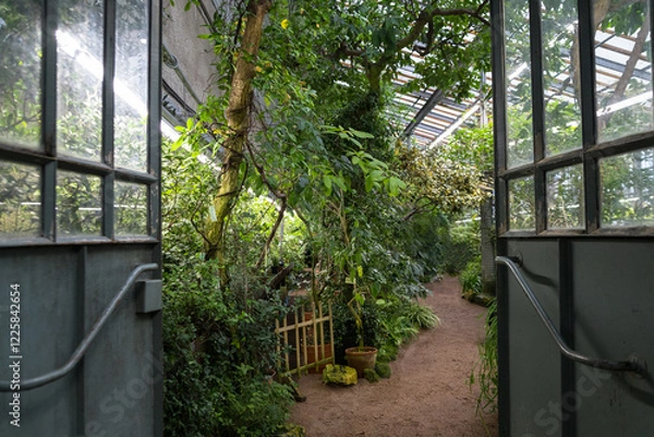 Fototapeta The interior of a large greenhouse with a collection of exotic plants. The open doors to the greenhouse of the botanical garden