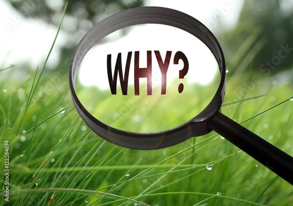 Fototapeta why