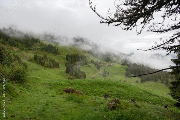 Fototapeta Mystical Fog in the Zillertal Alps