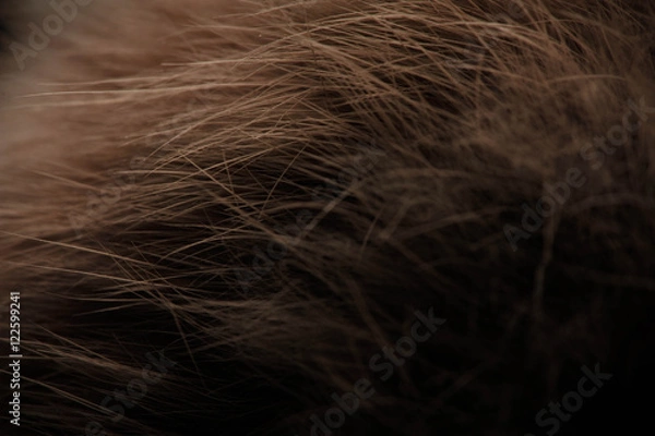 Obraz Texture photography studio