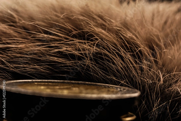 Obraz Texture photography studio