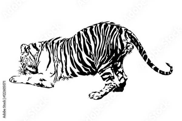 Fototapeta Tigers are enjoying eating.