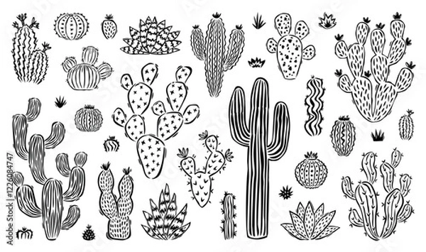 Fototapeta Hand drawn cactus doodle set. Collection of cute cartoon cactus houseplant illustrations in black and white vintage style. Isolated nature desert flora element.eps
