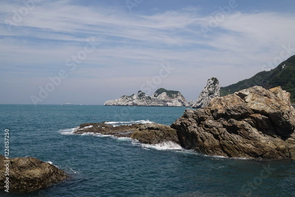 Obraz 白崎海洋公園