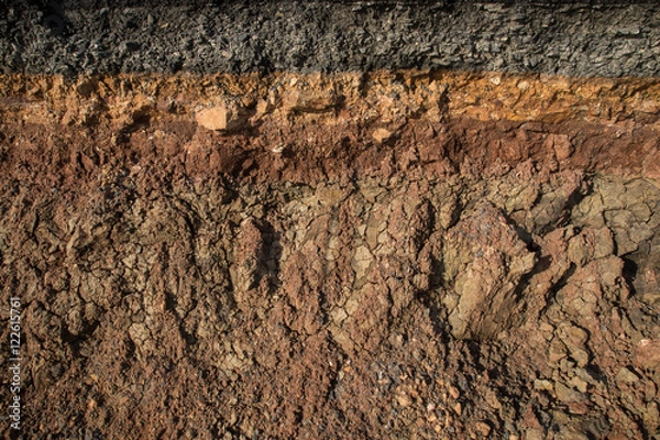 Obraz The curb erosion from storms. To indicate the layers of soil and