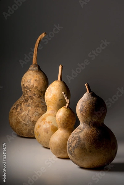 Obraz 瓢箪 ひょうたん ヒョウタンの写真