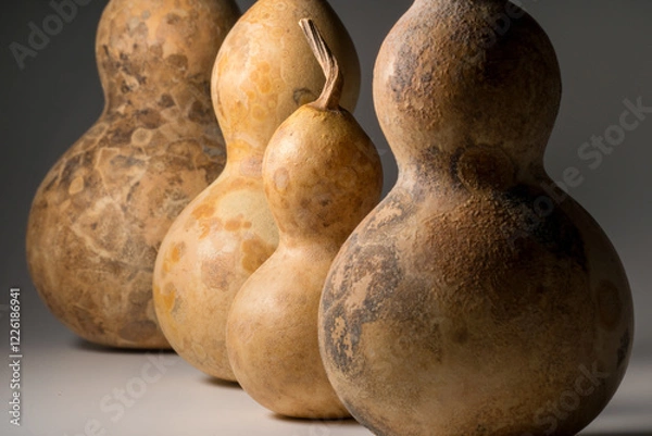 Obraz 瓢箪 ひょうたん ヒョウタンの写真