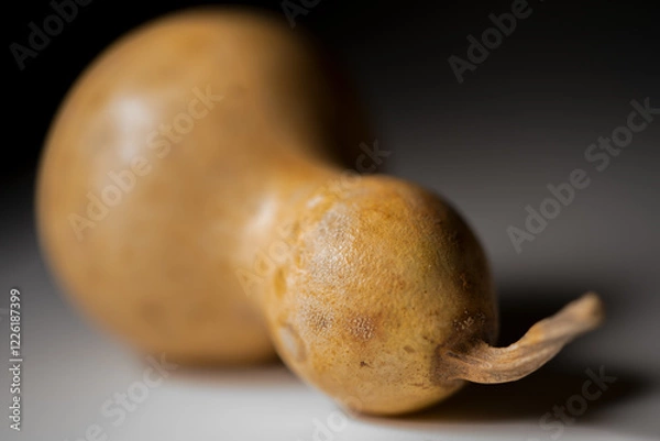 Obraz 瓢箪 ひょうたん ヒョウタンの写真