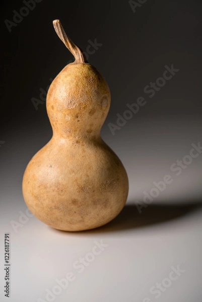 Obraz 瓢箪 ひょうたん ヒョウタンの写真