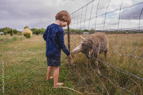 Obraz Boy feeding sheep