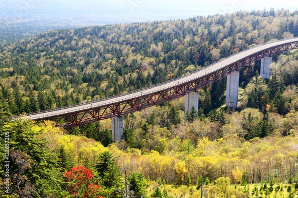 Obraz 秋の三国峠