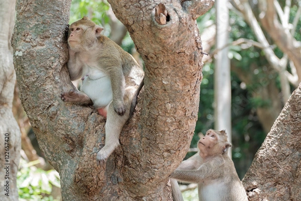 Obraz  make friendly again, reconcile