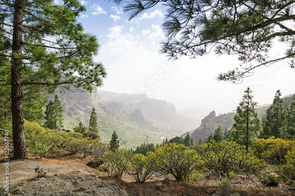 Fototapeta Blick ins Tal