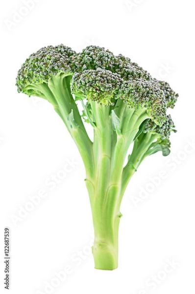 Obraz Fresh broccoli isolated on white