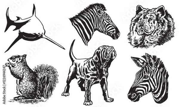 Fototapeta Graphical set of animals on white background, vector squirrel, zebra portrait, dog, shark