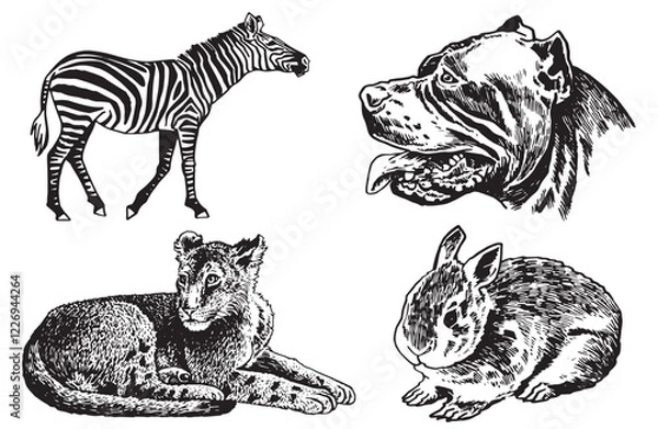Obraz Graphical set of animals on white background, vector rabbit, tiger, zebra and a dog