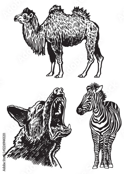 Obraz Graphical set of animals on white background, vector camel, dog, zebra