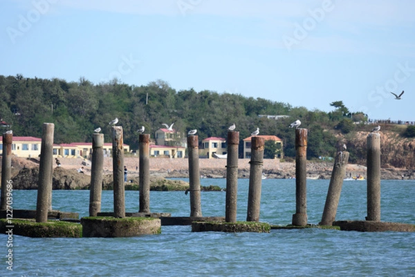 Obraz view of the town of coastal city in qingdao