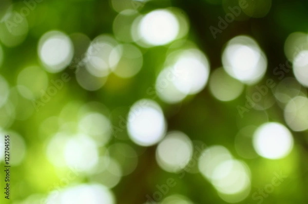 Obraz Bokeh color tone moss, Abstract natural  background.