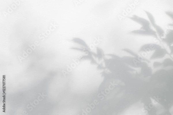 Fototapeta Leaf shadow and light on wall grey background. Nature tropical leaves plant tree branch shade sunshine . Sunlight on white wall texture for background wallpaper, shadows overlay effect foliage mockup