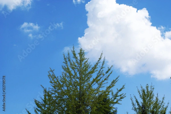 Fototapeta 空と雲と緑03