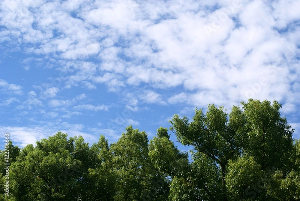 Fototapeta 空と雲と緑01