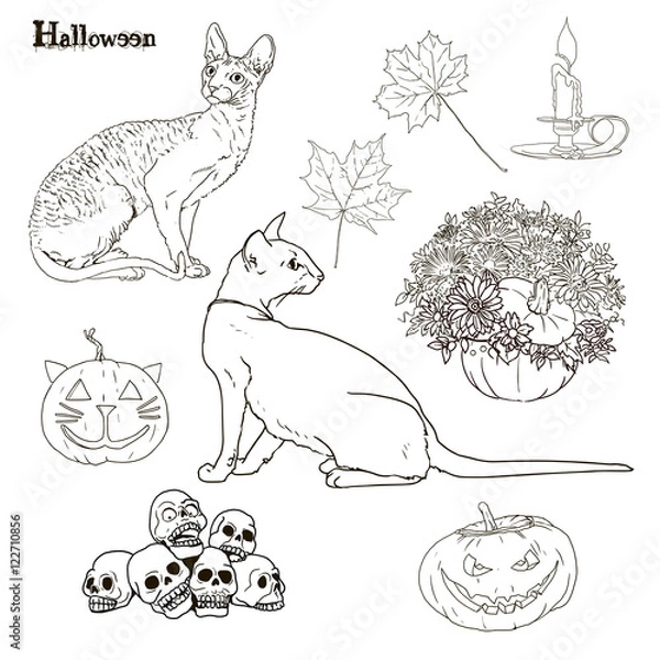 Obraz halloween set cats pumpkins leaf candles 