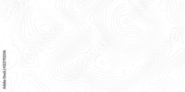 Fototapeta Abstract Topographic Pattern Banner Background, geographic line map with elevation assignments. Modern design background with wavy pattern. Paper texture Imitation of a geographical map shades.