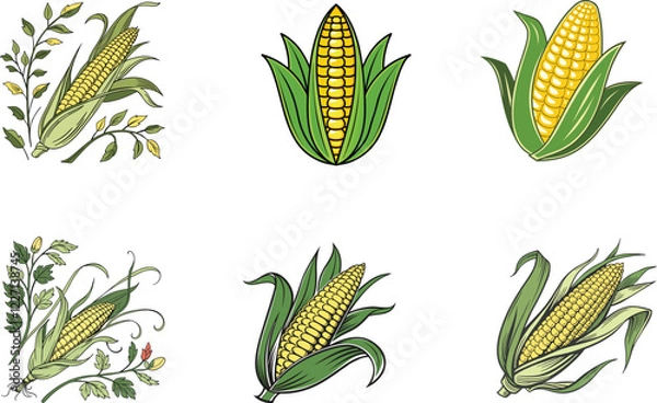 Fototapeta Agriculture themed Corn Illustrations. Collection of Yellow Corn Graphics Representing Harvest, Farming, and Fresh Produce for Design Projects.