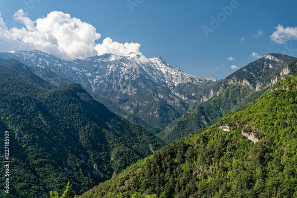 Obraz Landscape at the area of Mt Olympus, the highest mountain of Greece in Spring