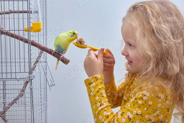 Obraz A girl feeds a budgie in a cage. The concept of friendship between children and pets.