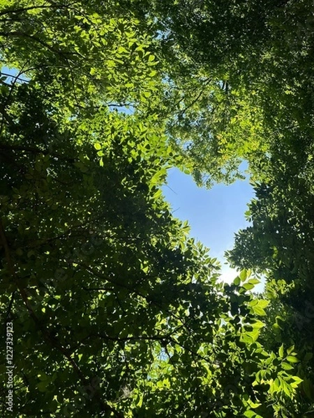 Fototapeta 초록색 나뭇잎과 하트