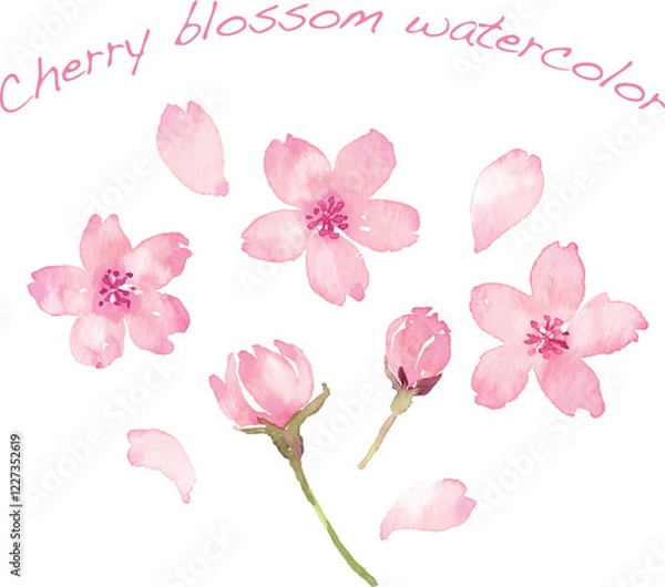 Obraz 水彩画の桜の花びら　ベクター素材