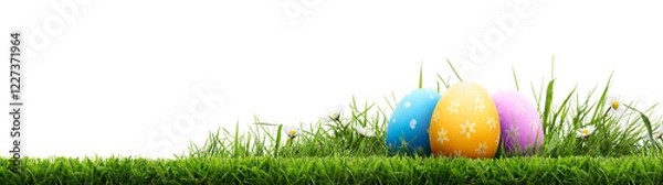 Obraz A template of a collection of painted easter eggs celebrating a Happy Easter with green cut meadow grass against an isolated transparent background.