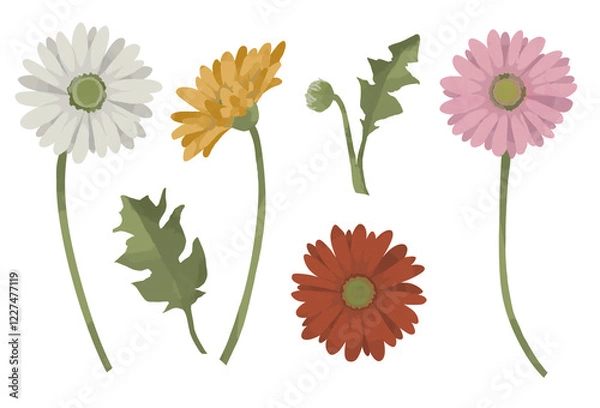 Obraz ガーベラのイラスト素材