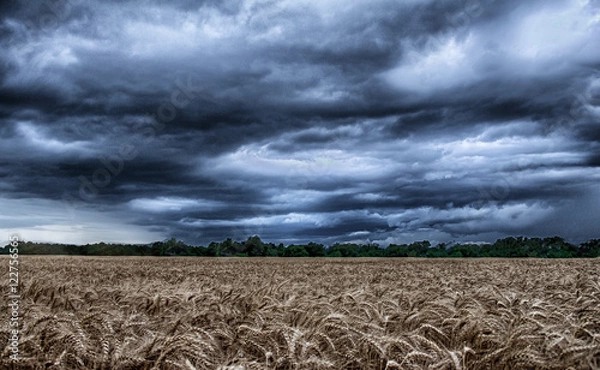 Fototapeta Summer Storm