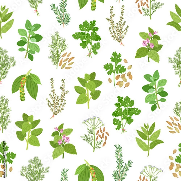 Fototapeta Herbs and spices seamless pattern