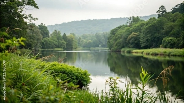 Fototapeta Soft focus on a serene body of water with lush surrounding greenery, serene, lake, blur, nature